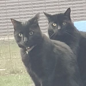 Meet your Posher, Raelene